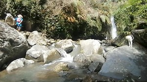 Cebu Go Go Adventure on Reels