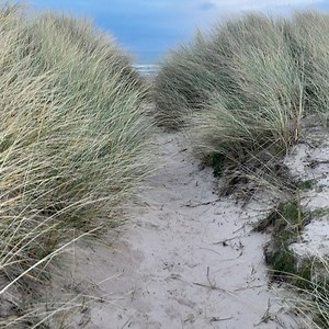 The Coastal Custodian - Across Northumberland Coast & Country on Reels