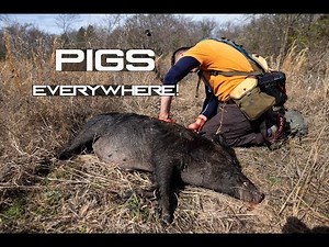 HUNTING PUBLIC PIGS in TEXAS | THINGS GET HOG WILD!!