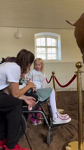 836K views · 60K reactions | Hannibal ❤️ #lusitanostallion #lusitano #buckskin #caballo #cheval #pferd #häst #stallion #reel #reelsoftheday #horseoftheday #horseofinstagram #dressagehorse #equestrian #followyourdreams #horsemanship #therapyhorses #equestrianlifestyle #libertyhorse #libertytraining #frihetsdressyr | Sjukhushästen & hans vänner | Facebook