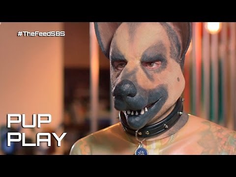 Pup play: men who live as dogs