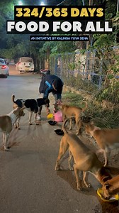 30K views · 5.7K reactions | LET’S BE THE VOICE OF VOICELESS 杖...