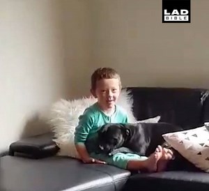These dogs are so guilty...but we'll let it slide 😂🐶 | LADbible