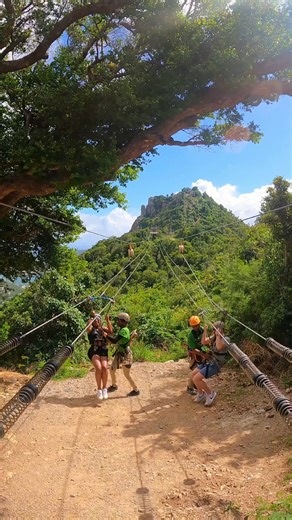 149K views · 649 reactions | The only island experience you’ll ever need!  #SentryHillZip #stmaarten #stmaartentourism #stmaartenisland #rainforestadventures | Rainforest Adventures St Maarten | Facebook