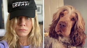 Mujer asegura que pelo de sus perritos es igual a Jennifer Aniston
