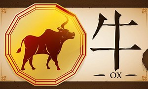 Discover Your Strength: The Year of the Ox Explained | LoveToKnow