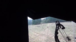 Bowhunting | Cedar Ridge Whitetails