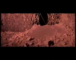 2.1K views · 42 reactions | Jó reggelt Magyarország Highland - Bella Stella | Retro Party Magyarország | Facebook