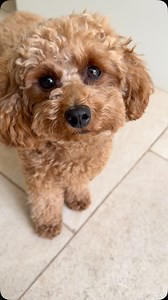 271 reactions · 11 comments | Free hot dog goodness! | Keith Lemon | Facebook