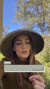 34 reactions | TERMINOLOGY TUESDAY  w/ the Florida Native Plant...