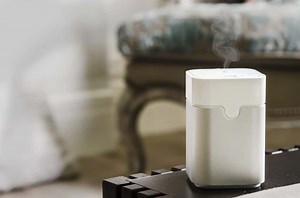 7 Best Diffuser Humidifiers of 2026