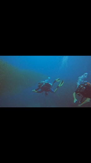 Underwater beauties😍😍 #mantadivephuket #scubadivingthailand #scubadivingphuket #divingphuket #divingthailand #plongeephuket #plongeesousmarinephuket | Fabien Javaudin