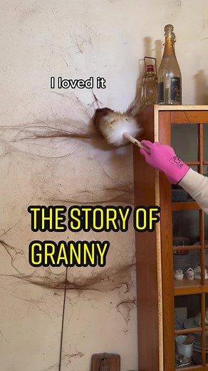 Free Cleaning Services for Granny's Homes 🏡 - Local Cleaning Lady Near Me