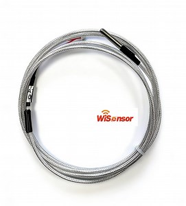 [Hot Item] PT100 Temperature Sensor for Liquid Nitrogen Temperature Monitoring -200 to 200°C