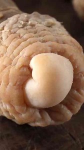 The unexpected flavor hidden inside this mystery meat