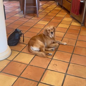 Shira Lazar on Reels