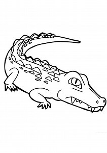 Coloring Pages | Coloring Pages Download