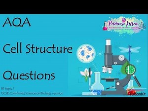CELL STRUCTURE. AQA B1-Topic 1 Quick Fire Questions. 9-1 GCSE Biology or combined science revision