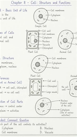 Cell: Structure and FunctionHuman Physiology #Human_physiology #foodandnutrition #cell