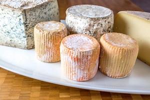 America’s Huge Cheese Surplus—What to Do With 1.19 Billion Pounds of Cheese