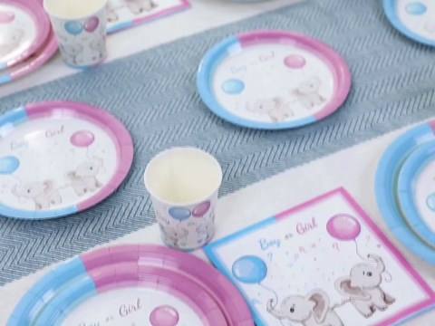 Baby Gender Reveal Decorations Kit - 96 Pieces, Plates and Napkins, Party Supplies, Pink and Blue Plates Set, Boy or Girl Cups (Watercolor)