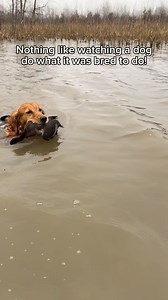 34K views · 1K reactions | Miss Kate getting after it | Maggie Williams | Facebook