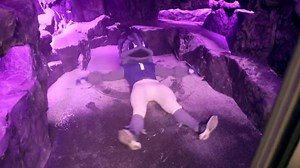 Video: Step inside TCU's impressive $50 million facility, complete with college football's first "snow room"