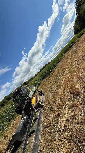 The corner plot. This one’s gonna be be a good one. Perfect spot. Perfect funnel. Lots on mature deer. Lets go!!! #outdoors #deer #moultrie #new #fall #hunting #2025 #johndeere | Randy Kukral