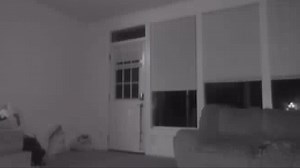 2K views · 19 reactions | Couple sees stranger break into home, take...