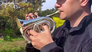 B Flat Brass Bb Pocket Trumpet with 7C Mouthpiece, Cleaning Kit, Carrying Case and Gloves for Students Beginners (Gold)