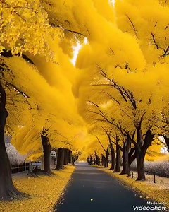 1.4K views · 39 reactions | Assyrian & Music | Assyrian & Music | Facebook