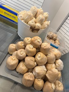 Accra or Ga Kenkey - Etsy Canada