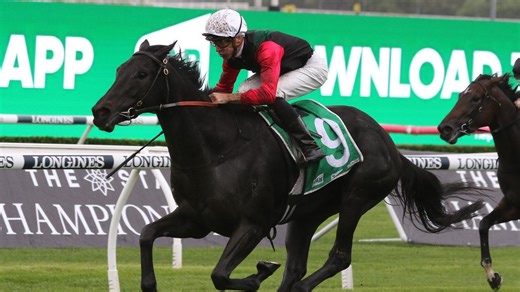 Rosehill tips for Saturday: Cummings masterpiece to start day on a high