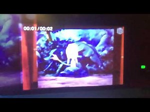 (Lilo & Stitch) Belle (SCREAM)