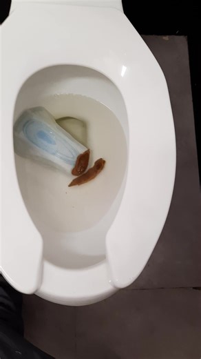 Flush turds and pad