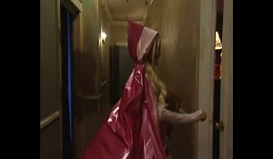 the devil in miss jones - stacy valentine 2