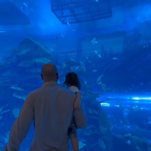 18K views · 23 reactions | Kim Gloss on Reels | Facebook