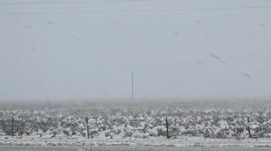 Ty Branaman on Reels