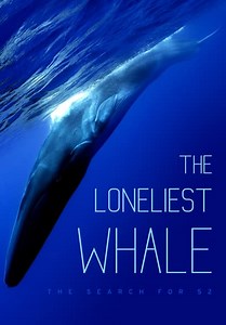 The Loneliest Whale: The Search for 52 (2021)