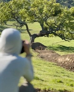 Board Action on Reels