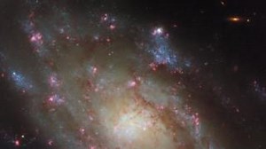 18K views · 625 reactions | This multicoloured portrait of the spiral...