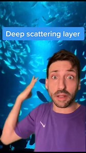 152K views · 4.8K reactions | with Deep Scattering layer PT. 2  #tikto... #funfacts #stitch | Mercede | Facebook