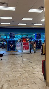 2.1K views · 142 reactions | Shopping at SCHEELS in Colorado Springs, Colorado | Travel with Rupam Dewan | Facebook
