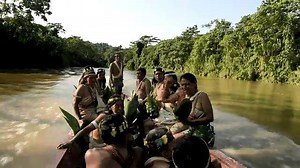 40K views · 1.2K reactions | The indigenous Waorani people, who are...