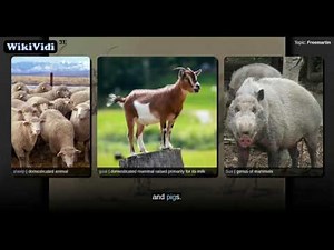 Freemartin - WikiVidi Documentary