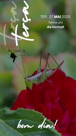 #bomdia #natureza #CapCutMotivacional #CapCut