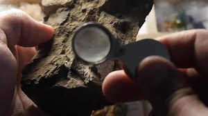 What Fossils Can—and Can’t—Tell Us About Dinosaur Sex