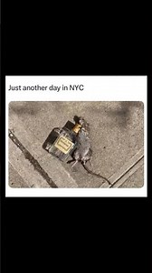 Mouse 😂 #memes #viral #funny #comedy #trendingshorts #usa #fyp