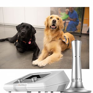 [Hot Item] Venterinary Device Shockwave Horse Treatment BS-Swt2X Shock Wave Therapy Splint Bone