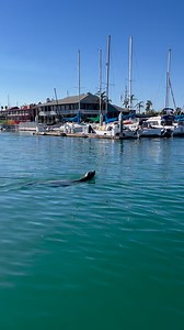 Gratitude sweetens even the smallest moments. 🤩 | Channel Islands Harbor